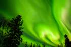 USA-Alaska-Chena Hot Springs Resort Aurora borealis fills night sky Art Print